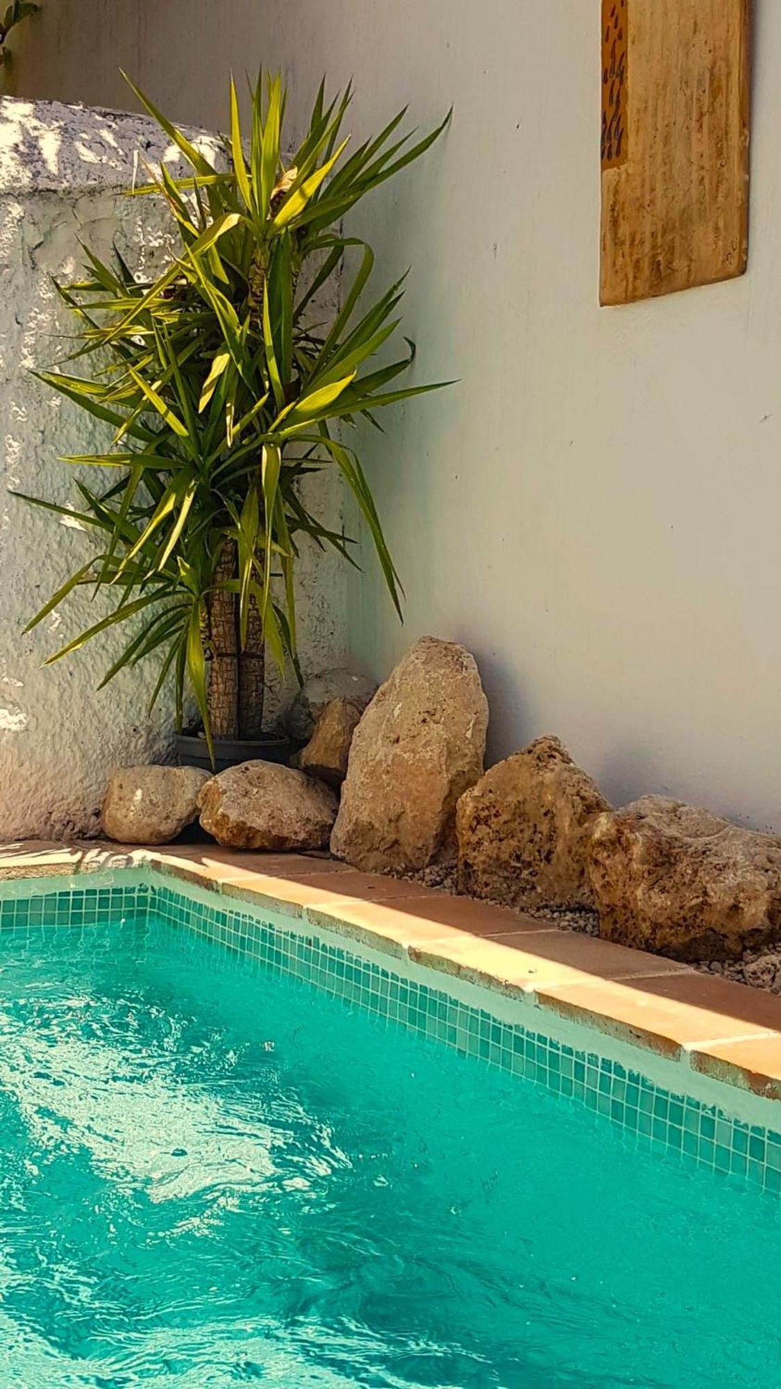 Casa Shyshka Country Cottage Periana Eksteriør billede
